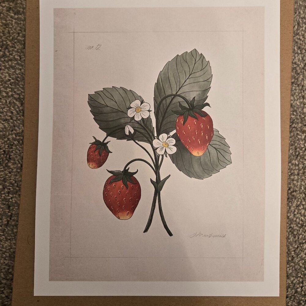 The Jilly Box Wild Strawberry Print